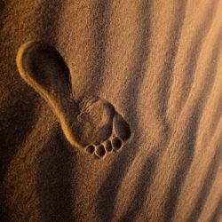 jeremy-bishop–mMEEkgj5fU-unsplash